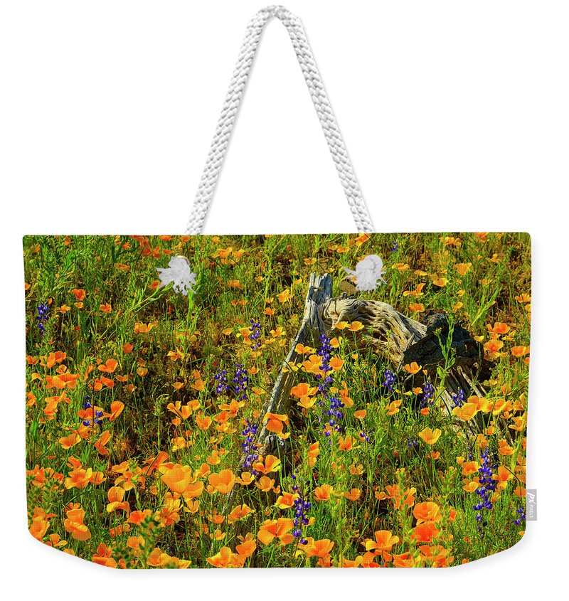 Arizona Weekender Tote Bag featuring the photograph Cycle of Life 25052 by Mark Myhaver