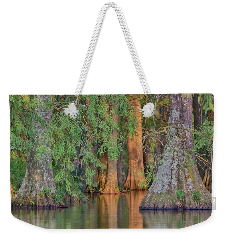 Cypress Weekender Tote Bag featuring the photograph Cypress Avenue by Jim Cook