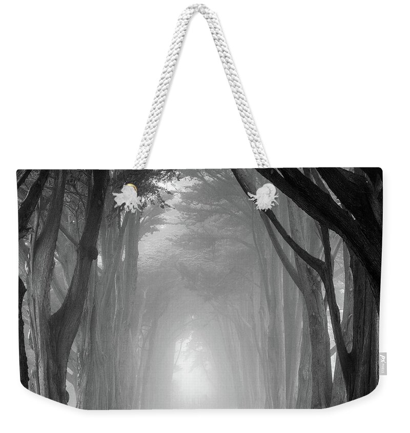 Cypress Tree Tunnel Weekender Tote Bag featuring the photograph Cypress tree tunnel, Point Reyes by Donald Kinney