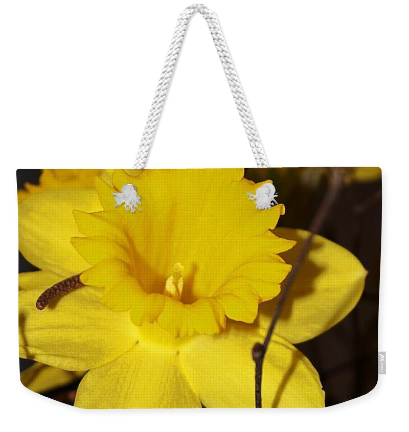 Daffodil Weekender Tote Bag featuring the photograph Daffodil Beauty by Claudia Zahnd-Prezioso