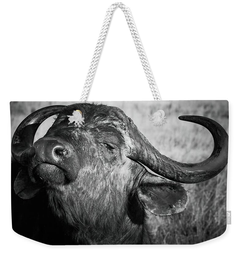 Africa Weekender Tote Bag featuring the photograph Daga Boys by Keith Carey