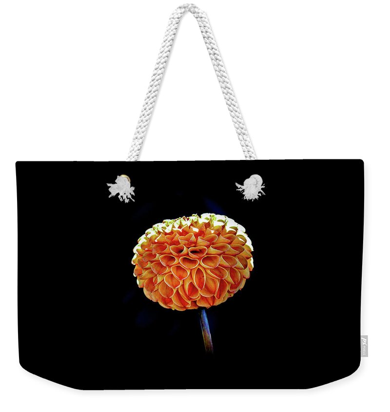 Flower Weekender Tote Bag featuring the photograph Dahlia by Anamar Pictures