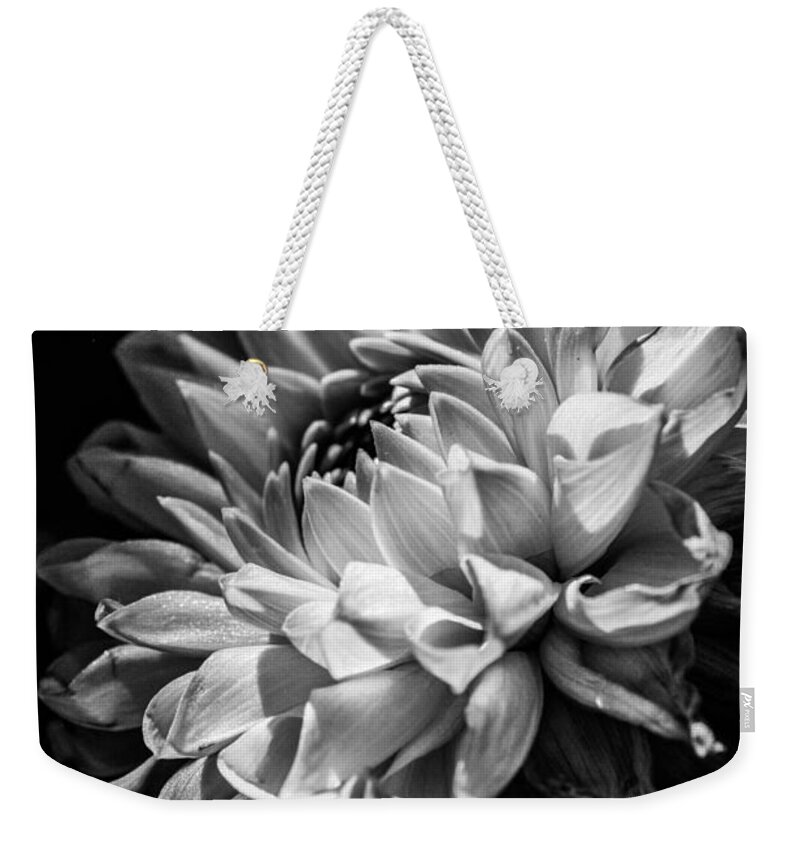 Best Weekender Tote Bag featuring the photograph Dahlia, Dramatic Monochrome by W Craig Photography
