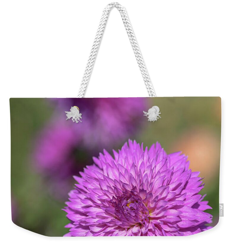 Jenny Rainbow Fine Art Photography Weekender Tote Bag featuring the photograph Dahlia Frizzy Lizzy 4 by Jenny Rainbow