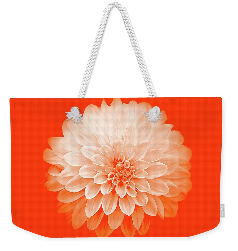 Art Weekender Tote Bag featuring the photograph Dahlia IV on Orange Background by Joan Han