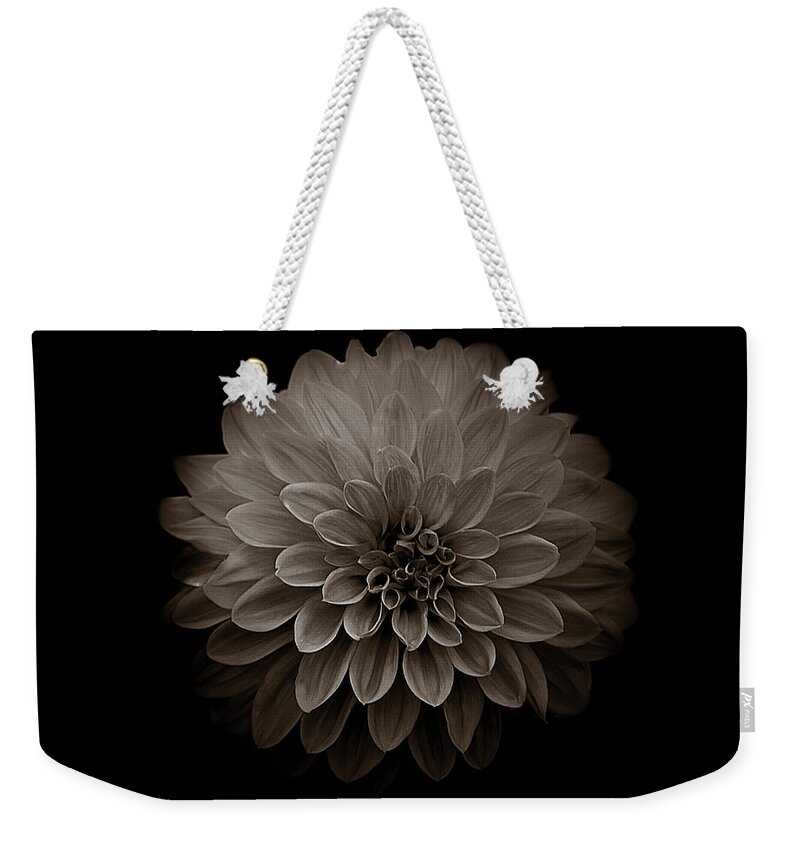 Art Weekender Tote Bag featuring the photograph Dahlia IV Sepia by Joan Han