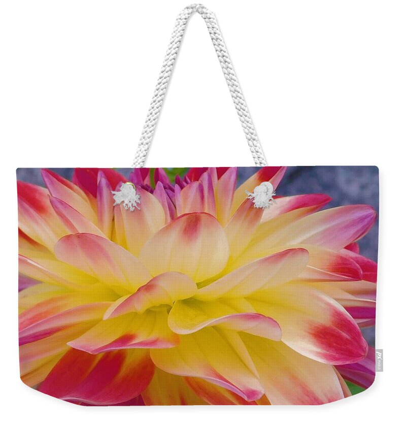 - Dahlia - Yellow And Red Weekender Tote Bag featuring the photograph - Dahlia - Yellow and Red by THERESA Nye