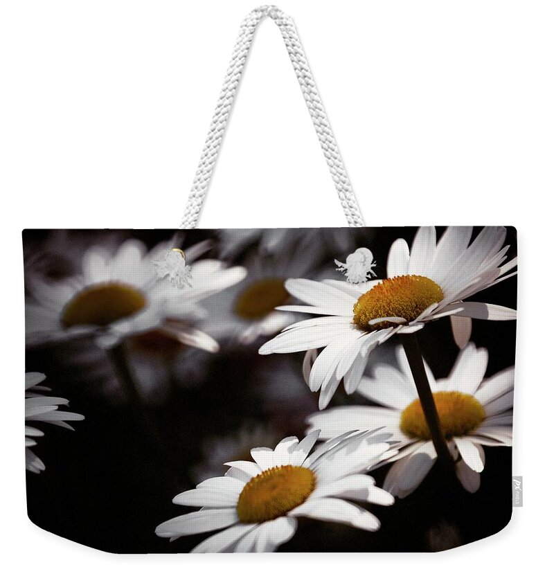 Daiseys Weekender Tote Bag featuring the photograph Daisies by RicharD Murphy