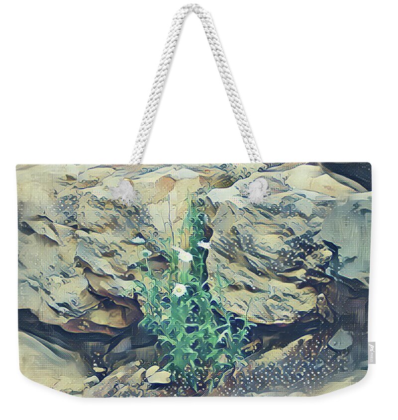 Daisies Weekender Tote Bag featuring the mixed media Daisies in the Boulders by Christopher Reed