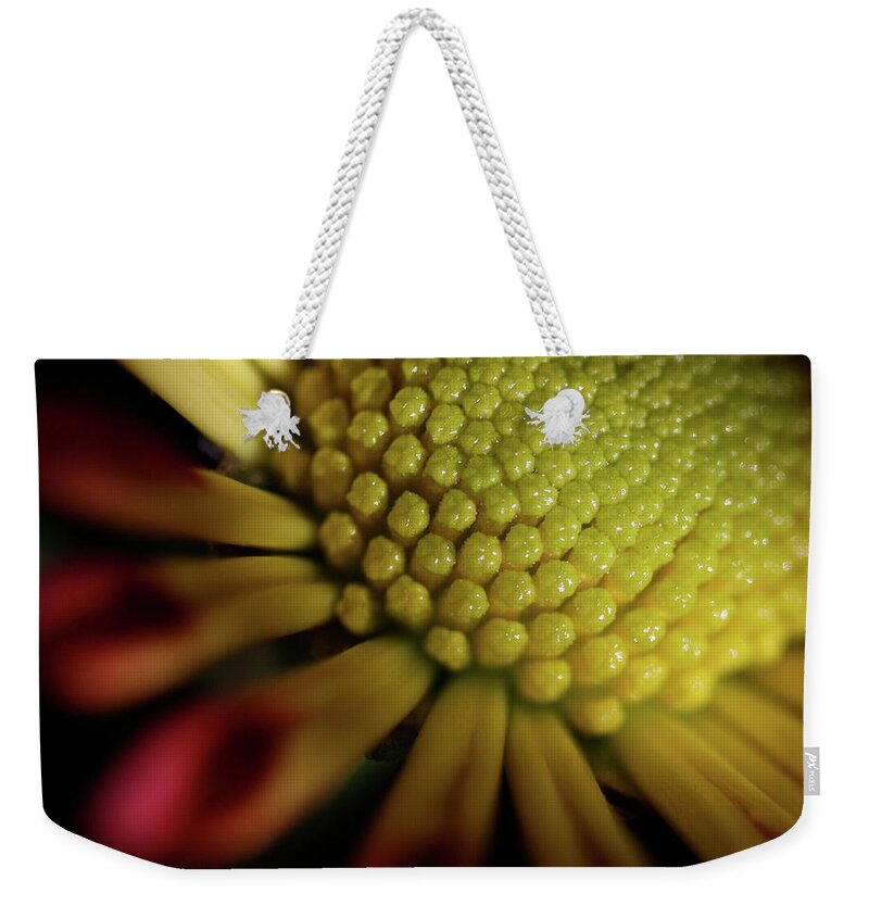 Macro Weekender Tote Bag featuring the photograph Daisy 6043 by Julie Powell