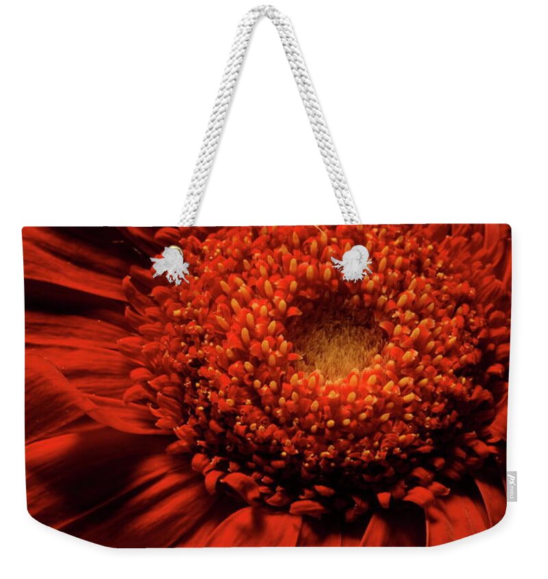 Flower Weekender Tote Bag featuring the photograph Daisy 9783 by Julie Powell