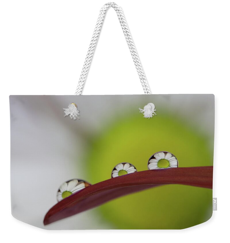 Daisy Weekender Tote Bag featuring the photograph Daisy in Water Droplets by Kevin Schwalbe
