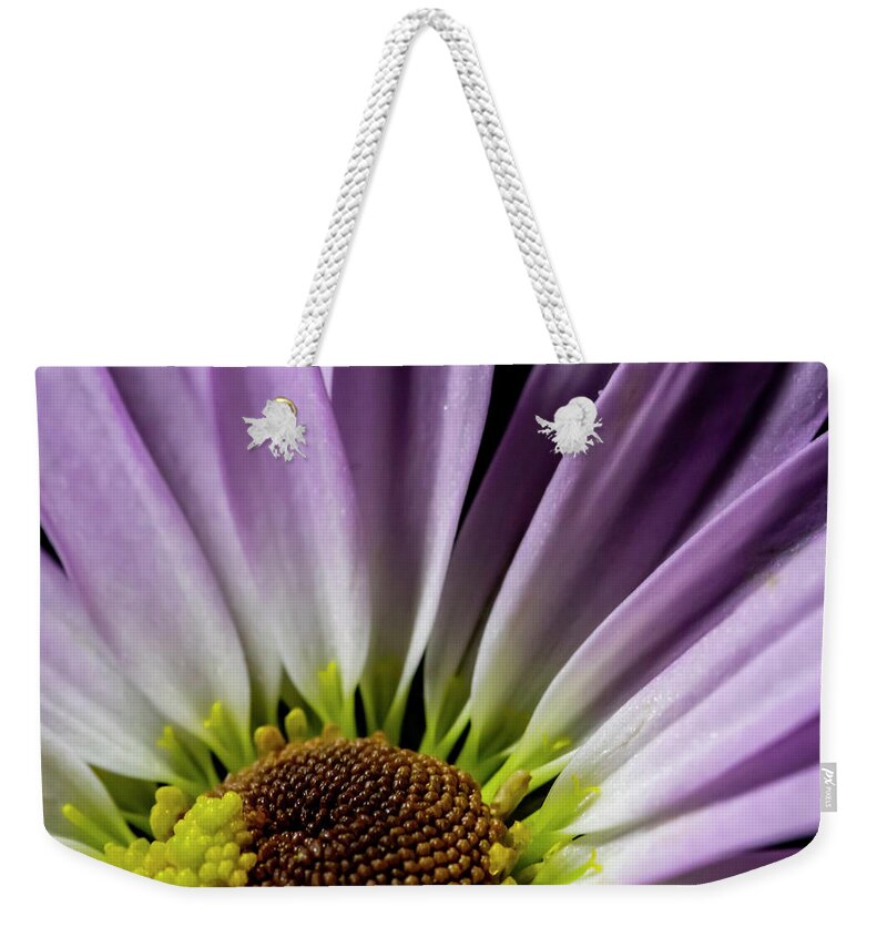 Purple Weekender Tote Bag featuring the photograph Daisy Macro by Cathy Kovarik
