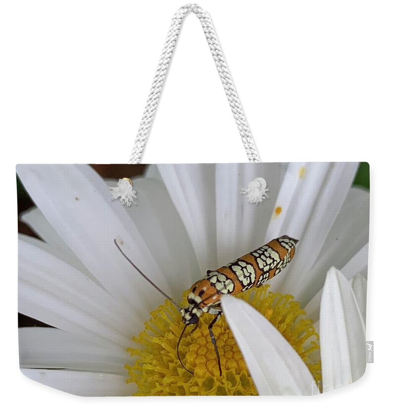 Daisy Weekender Tote Bag featuring the photograph Daisy Peace by Catherine Wilson