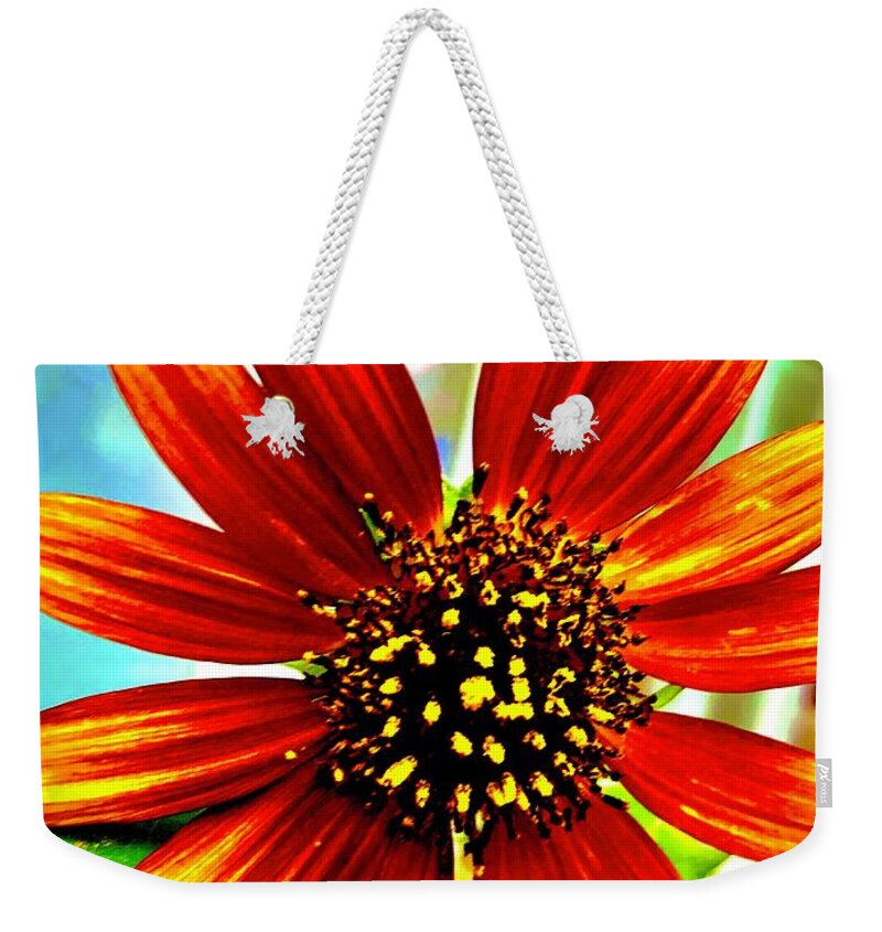 Sunflower Weekender Tote Bag featuring the photograph Daisy the Sunflower by Toni Hopper