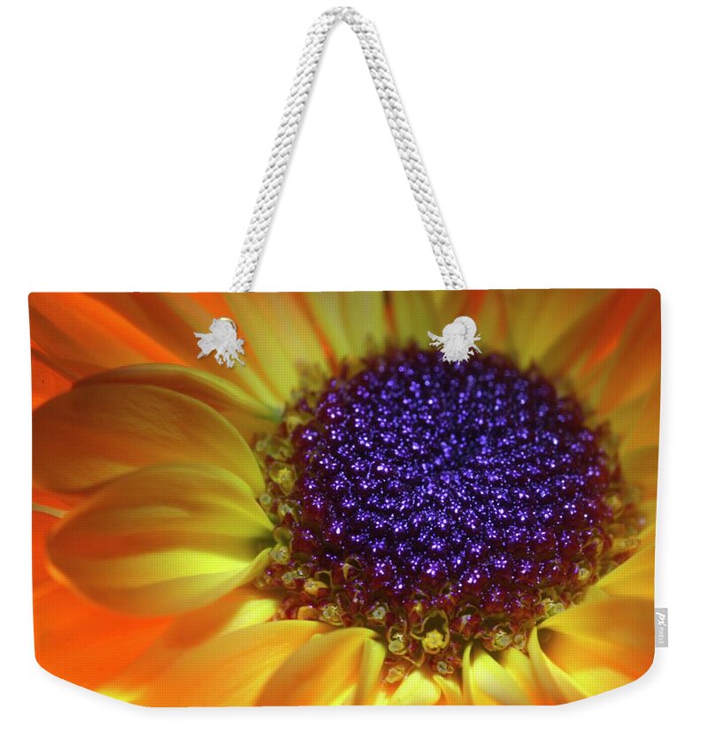 Daisy Weekender Tote Bag featuring the photograph Daisy Yellow Orange by Julie Powell