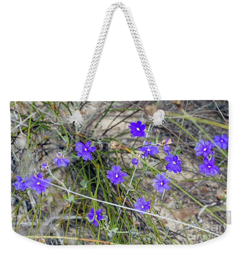 Dampiera Weekender Tote Bag featuring the photograph Dampiera 4 by Elaine Teague