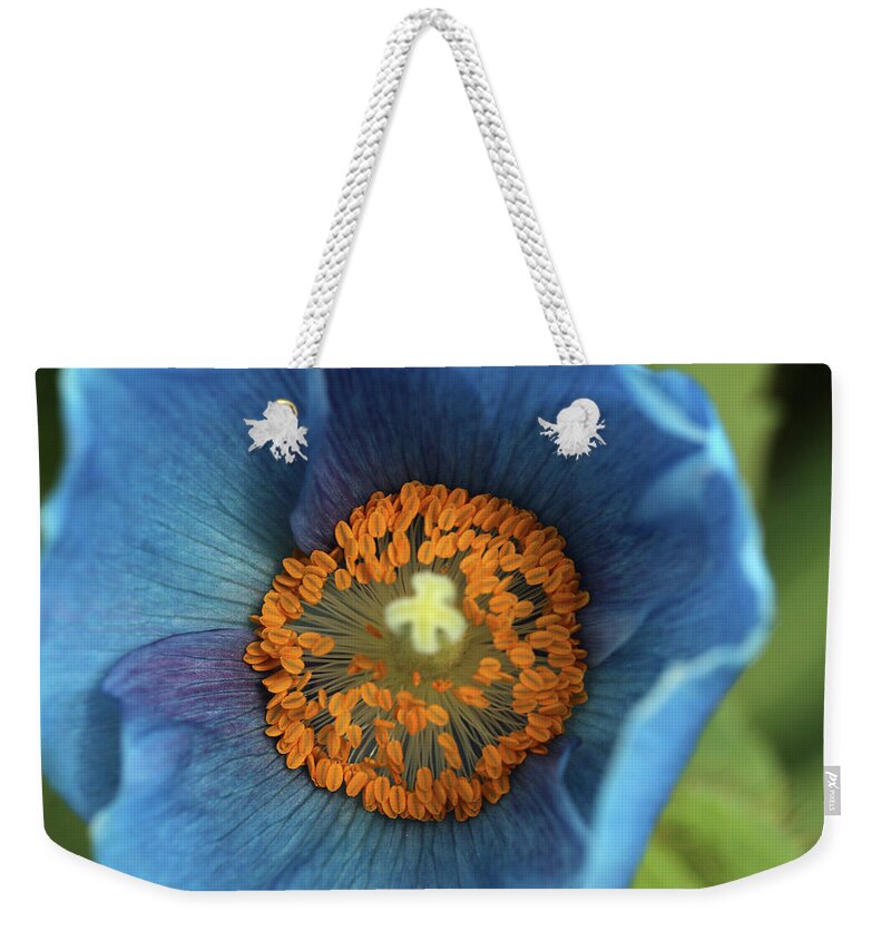 Himalayan Blue Poppy Weekender Tote Bag featuring the photograph Dancing Anthers by Laurie Lago Rispoli