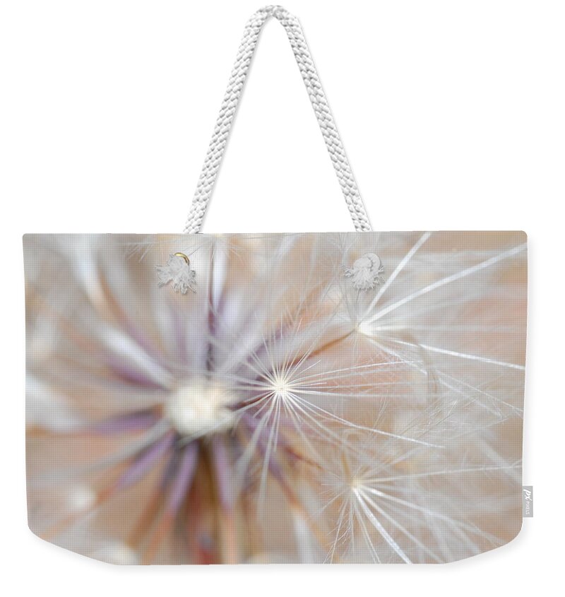 Nature Weekender Tote Bag featuring the photograph Dandelion 2 by Amy Fose