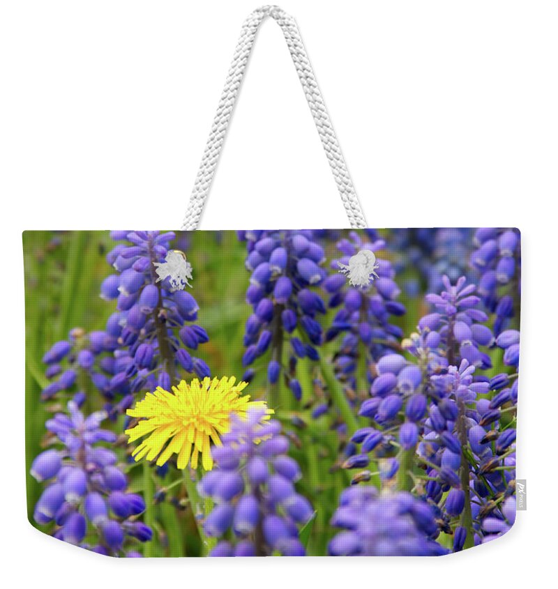 Flowers Weekender Tote Bag featuring the photograph Dandelion at Highland Park by Flinn Hackett