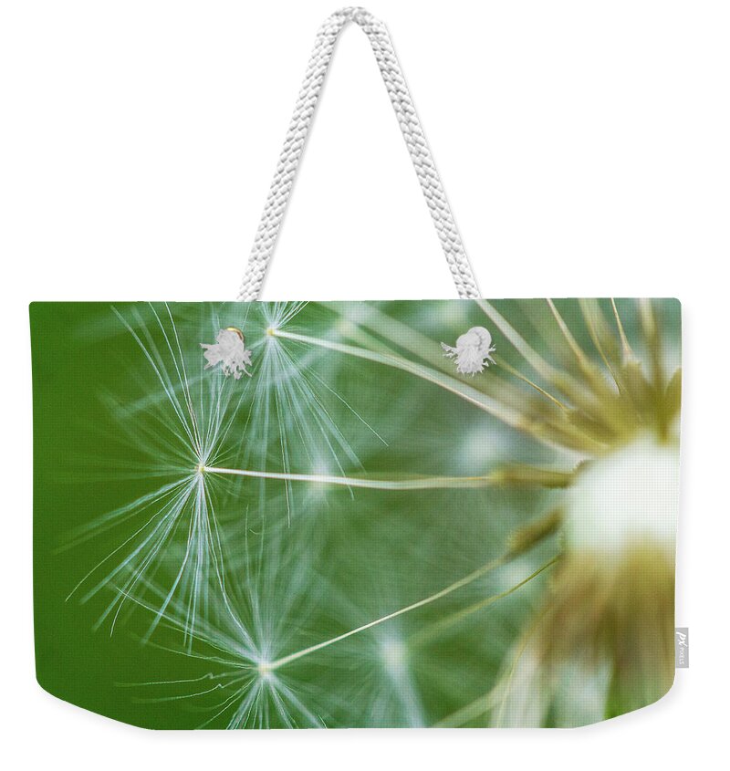 Dandelion Weekender Tote Bag featuring the photograph Dandelion by David Morehead