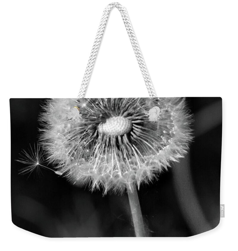 Dandelion Weekender Tote Bag featuring the photograph Dandelion by Gina Cinardo