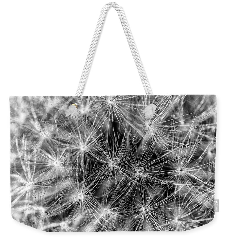 Dandelion Weekender Tote Bag featuring the photograph Dandelion Seed Pod by Bob Decker