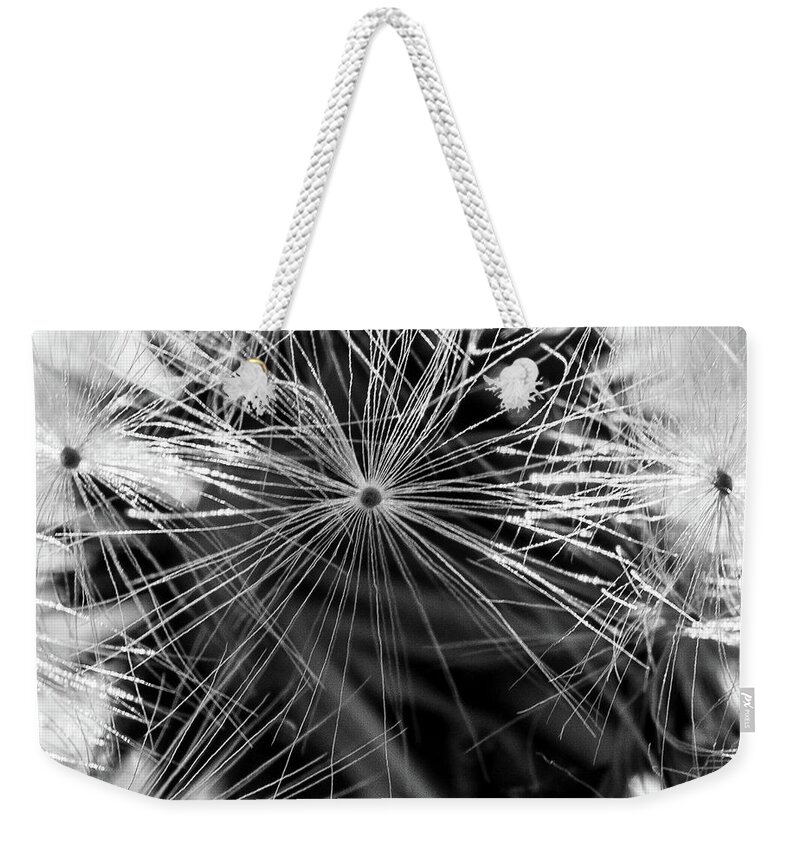 Plants Weekender Tote Bag featuring the photograph Dandelions Clock by Louis Dallara