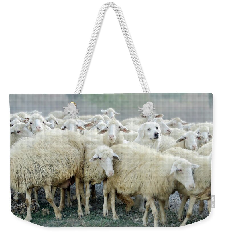 Drôle Weekender Tote Bag featuring the photograph Dare to be Different by Louise Tanguay