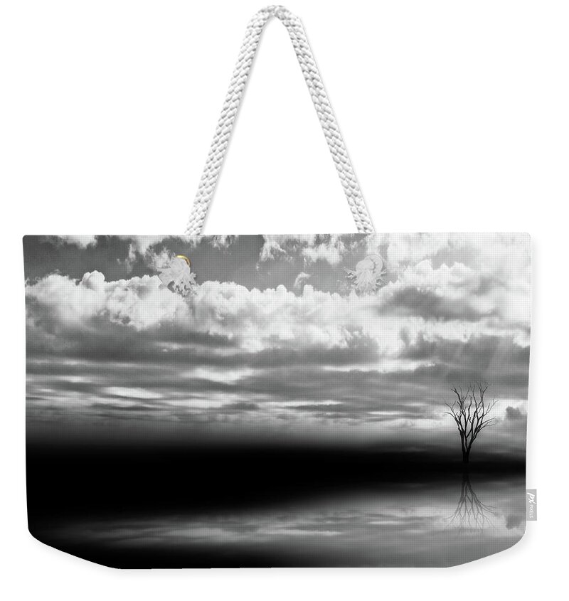 Black And White Weekender Tote Bag featuring the photograph Dark And Light by Carmen Kern