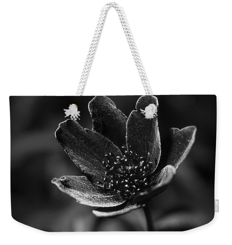 White Weekender Tote Bag featuring the photograph Dark beauty by Maria Dimitrova