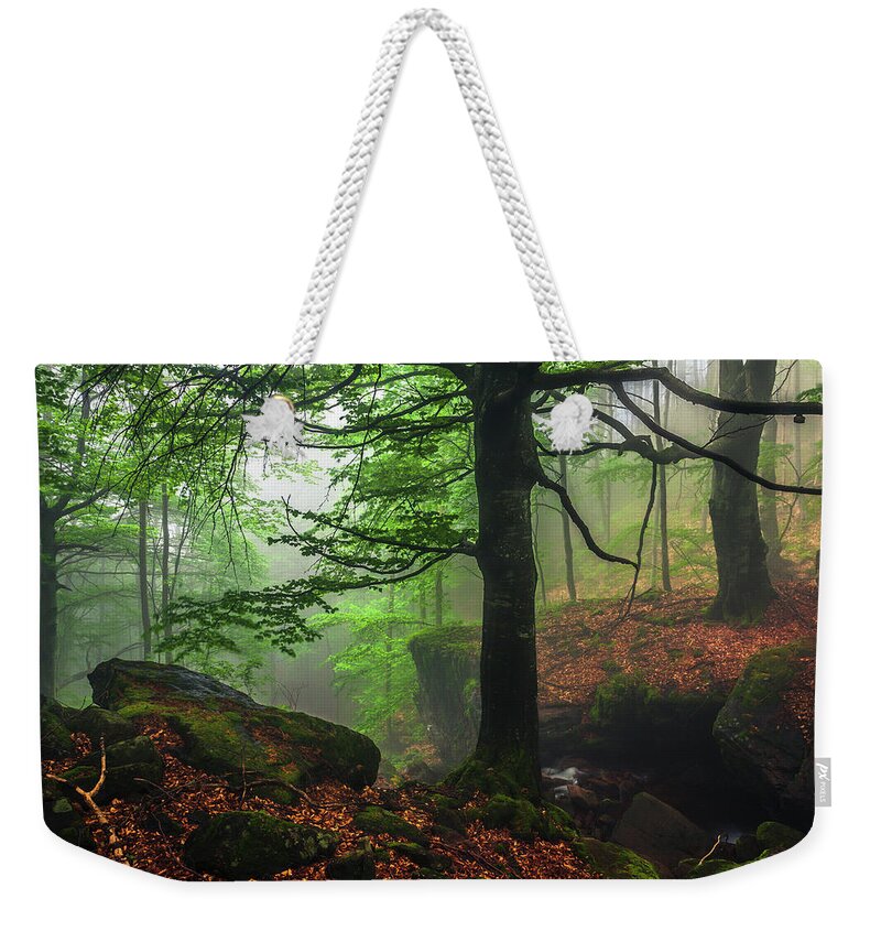 Fog Weekender Tote Bag featuring the photograph Dark Forest by Evgeni Dinev