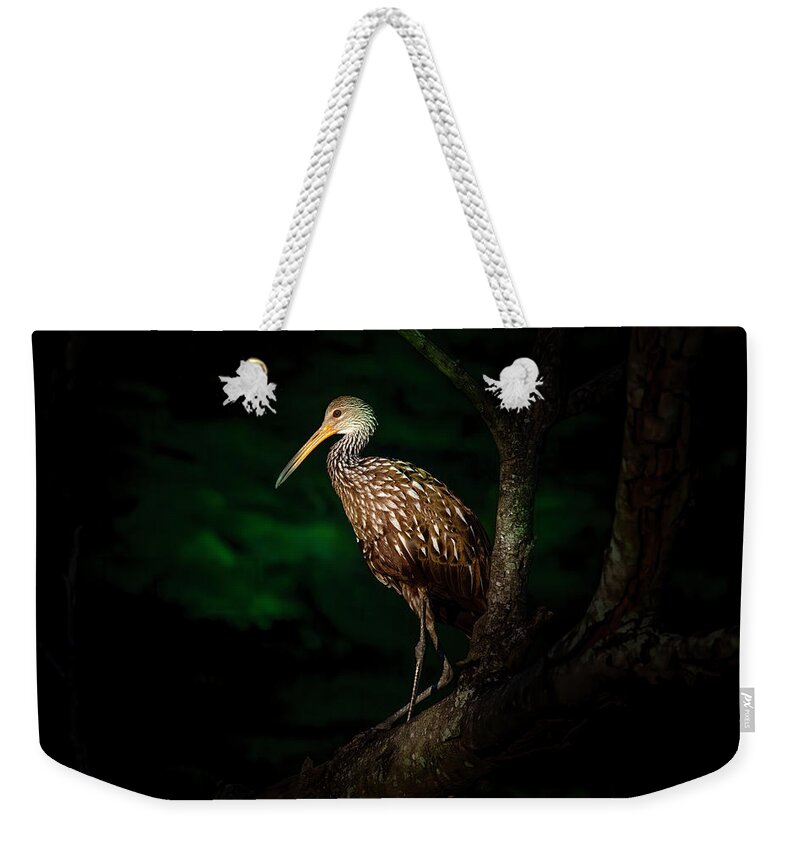 Limpkin Weekender Tote Bag featuring the photograph Dark Forest Limpkin by Mark Andrew Thomas
