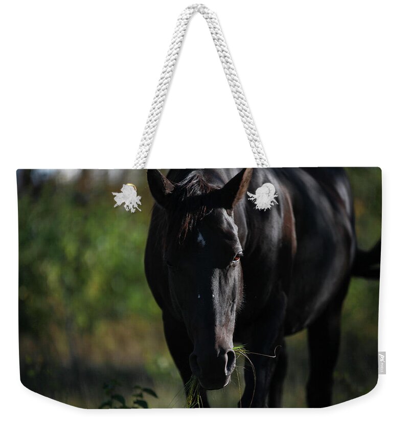 Black Horse Weekender Tote Bag featuring the photograph Dark Peace by Listen To Your Horse