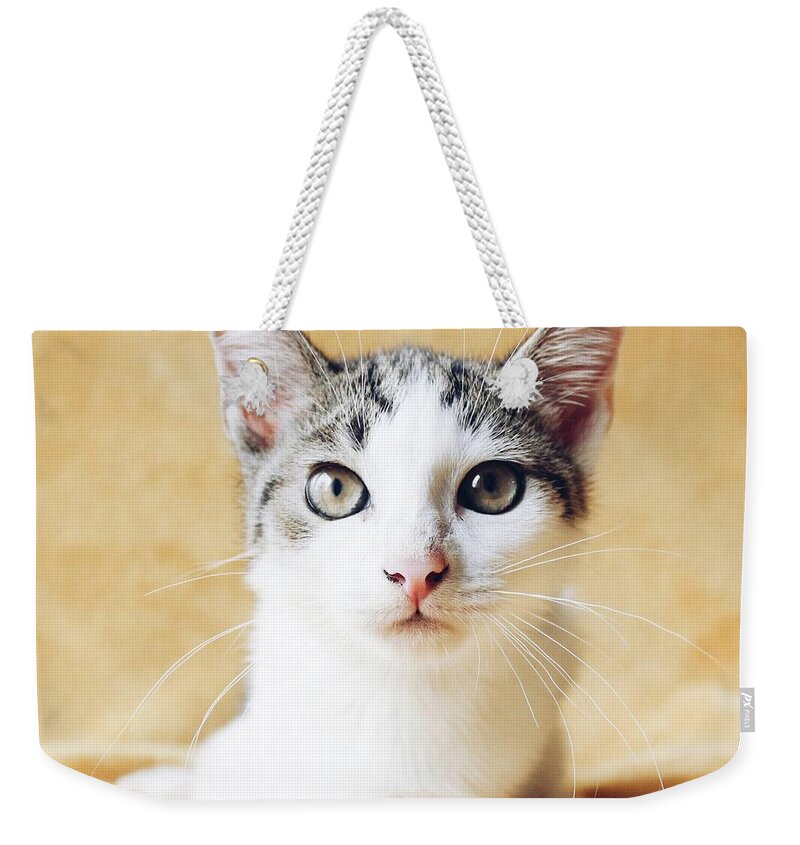 Sea Weekender Tote Bag featuring the photograph Dave by Michael Graham