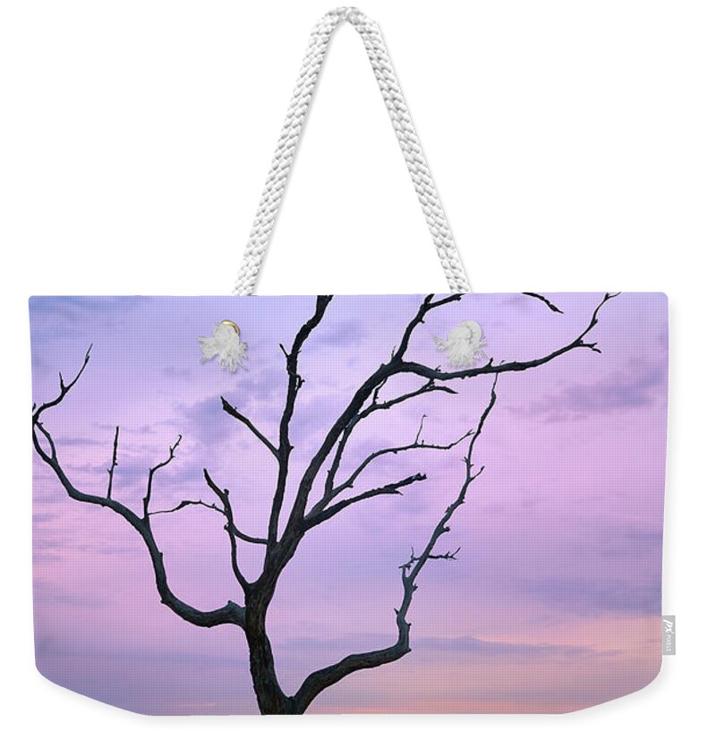 Nature Weekender Tote Bag featuring the photograph Dawn on Jekyll Island by Jon Glaser