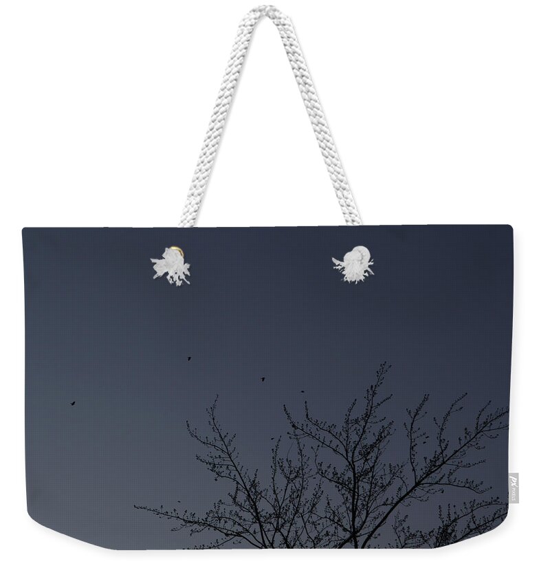  Dark Blue Morning Sunrise Dawn Birds Flying Robins Grey-blue Blue-gray Subtle Colors Weekender Tote Bag featuring the photograph Dawn Sky Dotted with Robins March 3, 2021 by Miriam A Kilmer