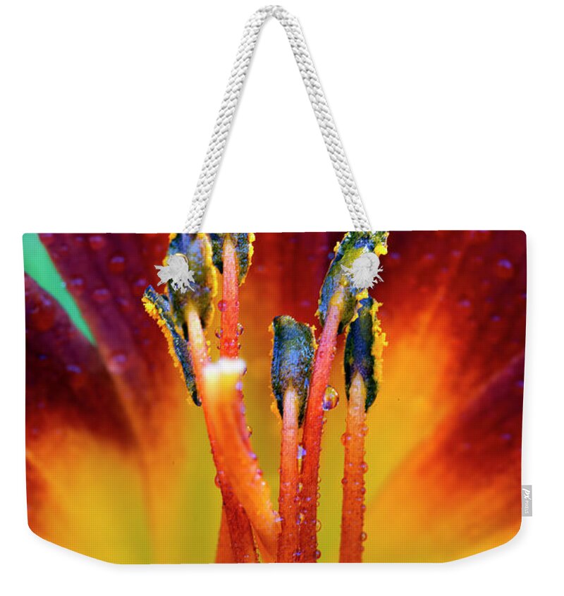 Day Weekender Tote Bag featuring the photograph Day Lily with Dew by Gary Langley