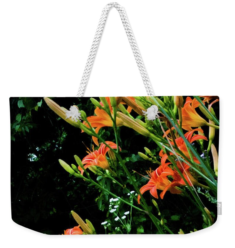 Faa Weekender Tote Bag featuring the photograph Daylilies 2 by Lee Beuther
