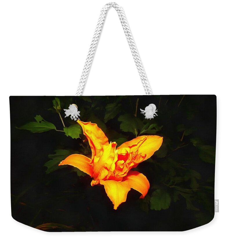 Daylily Weekender Tote Bag featuring the photograph Daylily at Night by Christopher Reed