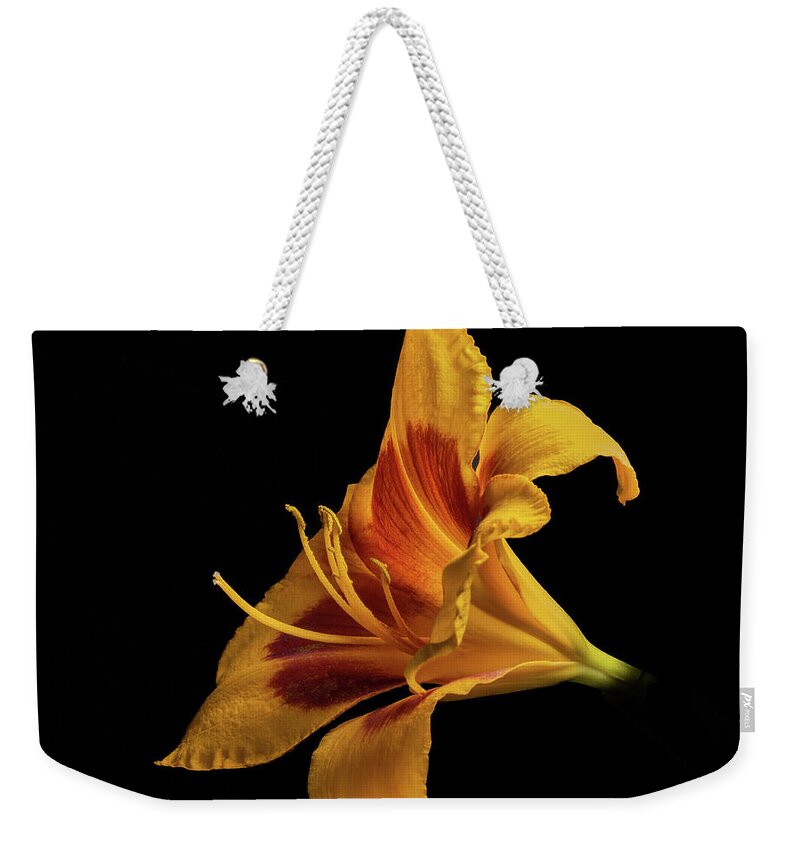 Hemerocallis Fulva Weekender Tote Bag featuring the photograph Daylily at Night by Kevin Suttlehan