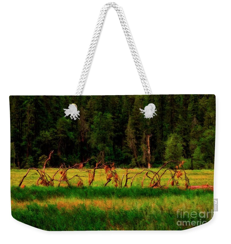 Yosemite Weekender Tote Bag featuring the photograph Dead Tree Resting Place Yosemite by Blake Richards