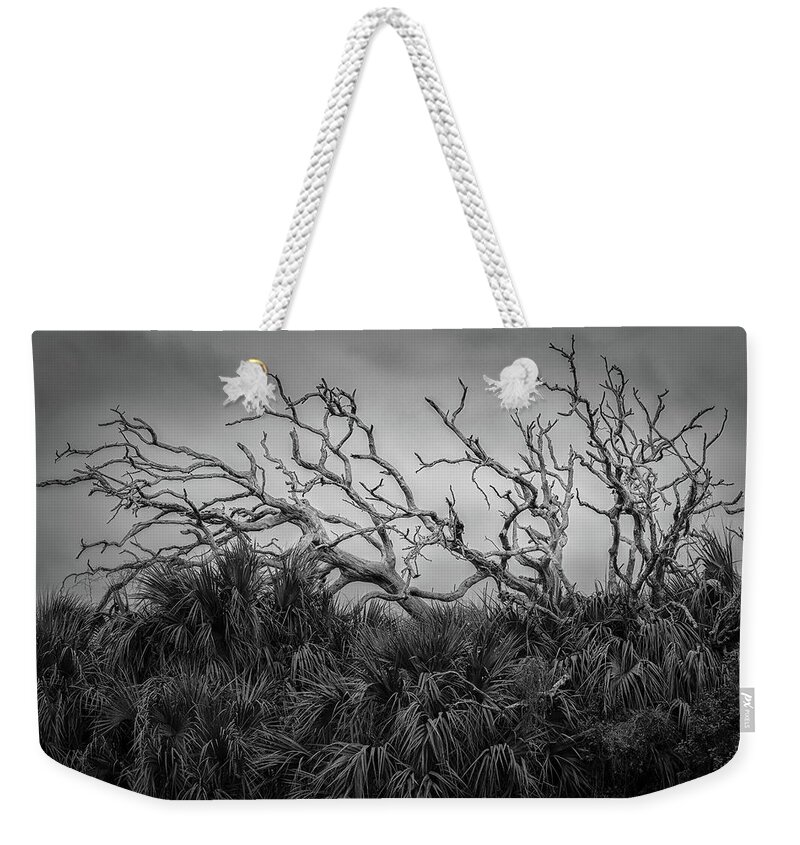 B&w Weekender Tote Bag featuring the photograph Dead Trees and Palmettos by Mike Schaffner