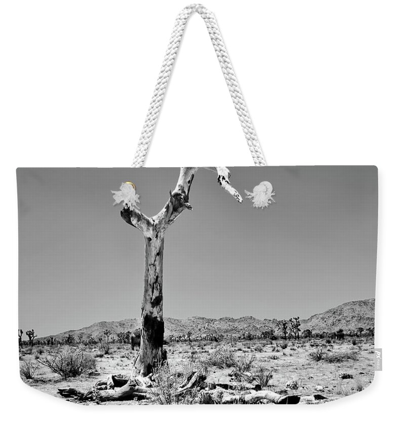 Joshua Tree Weekender Tote Bag featuring the photograph Death of a Joshua Tree by American Landscapes