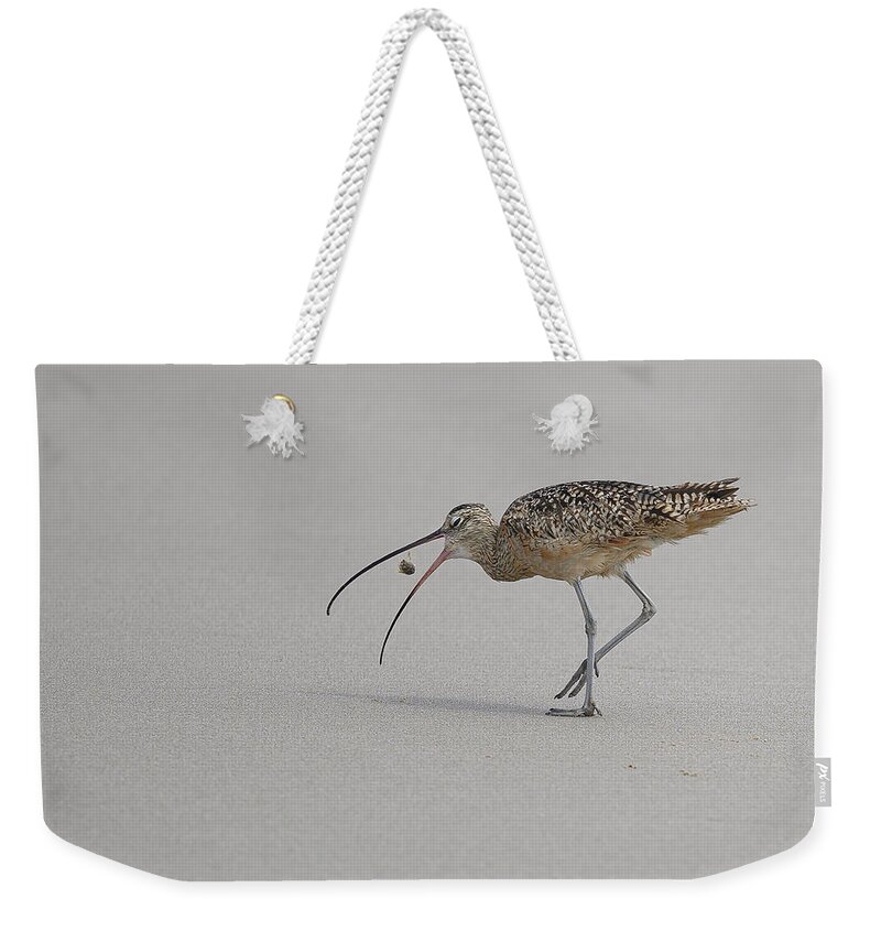 Animals Weekender Tote Bag featuring the photograph Death of a Sand Crab by James Covello