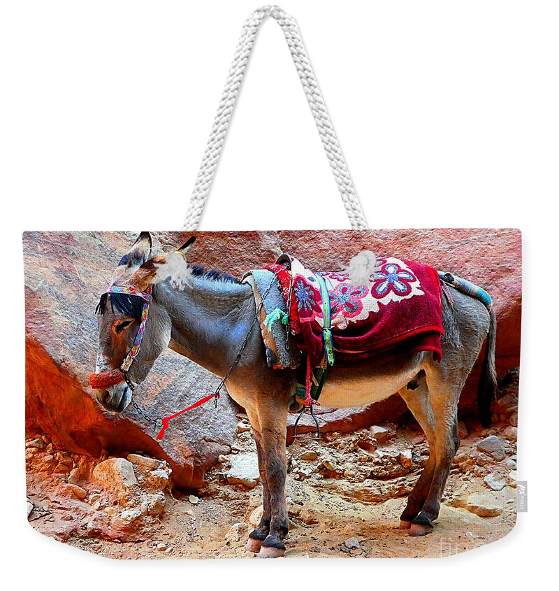 Donkey Weekender Tote Bag featuring the photograph Decorated Donkey by Tina Mitchell