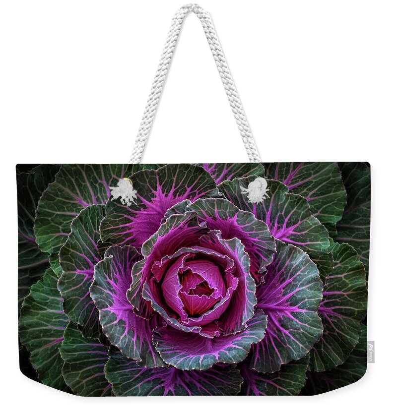 Ornamental Weekender Tote Bag featuring the photograph Decorative Cabbage by Elvira Peretsman