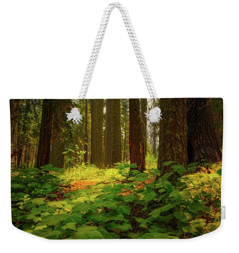 Yosemite Weekender Tote Bag featuring the photograph Deep in the Magical Forest by Abigail Diane Photography