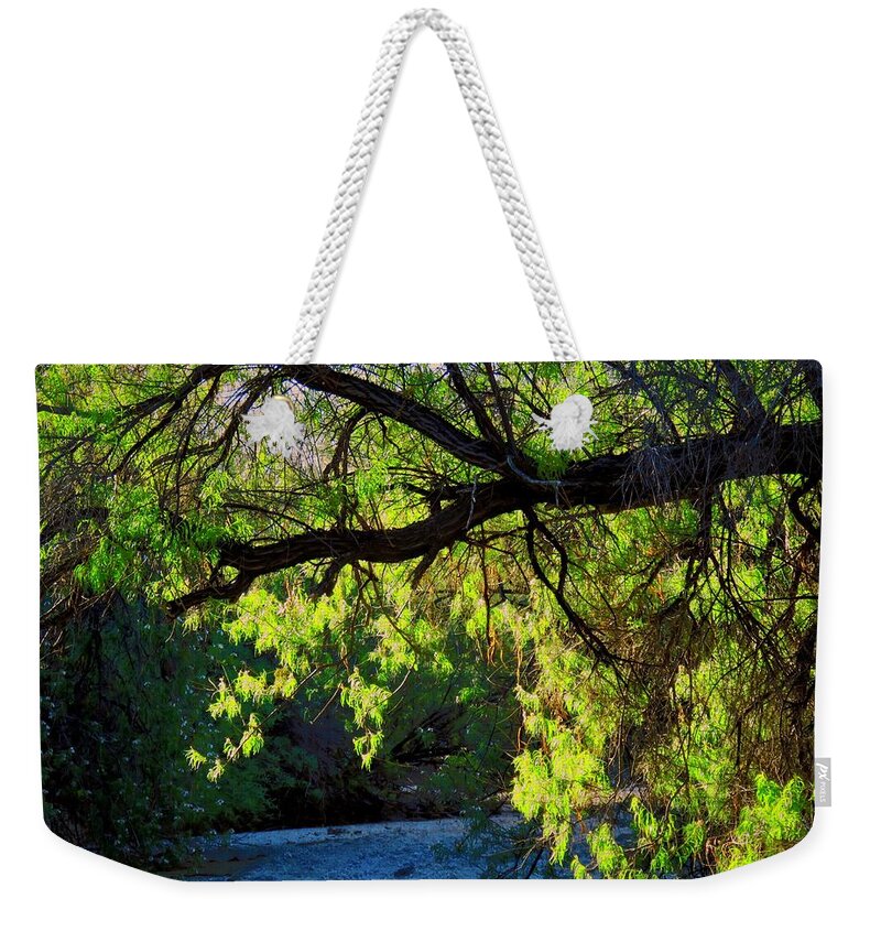 Desert Plants Weekender Tote Bag featuring the photograph Deep in the Vekol by Judy Kennedy