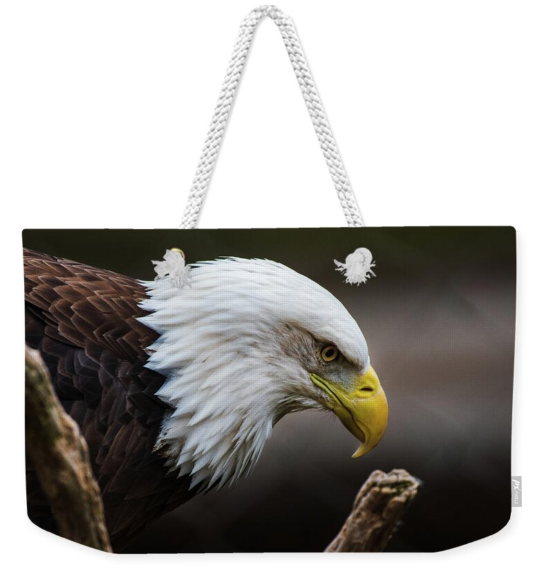 Bald Eagle Weekender Tote Bag featuring the photograph Deep in Thought by Rose Guinther